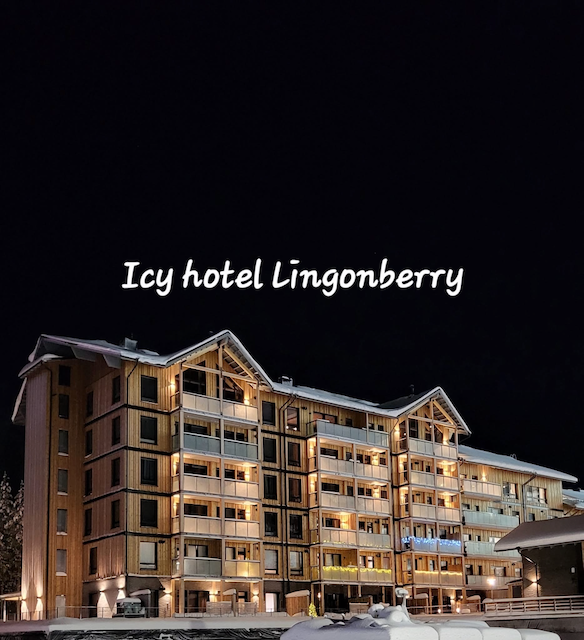 ICY HOTEL LINGOBERRY D321 Huoneisto Levi keskustassa