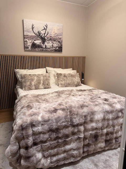 ICY HOTEL LINGOBERRY D325 Huoneisto Levi keskustassa